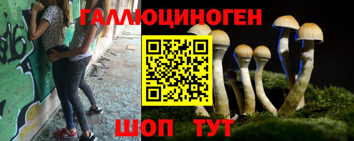 Псилоцибиновые грибы Psilocybine cubensis Славянск-на-Кубани