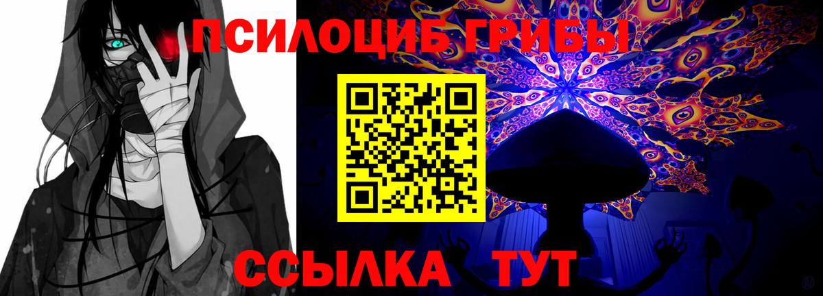 Галлюциногенные грибы Psilocybe  Вход с VPN  Славянск-на-Кубани 